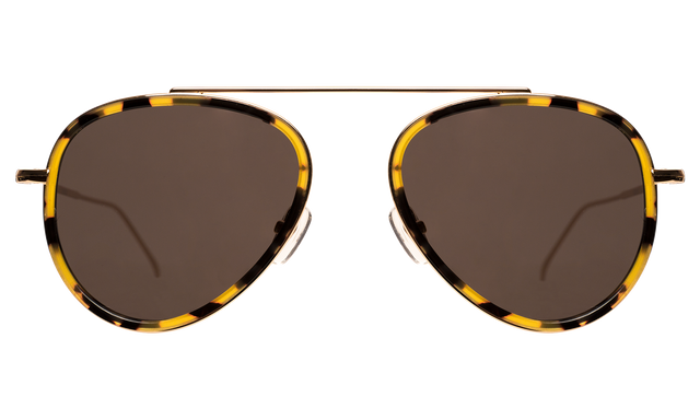 Dorchester Ace Sunglasses front view in Tortoise with Gold With Grey Flat Lenses