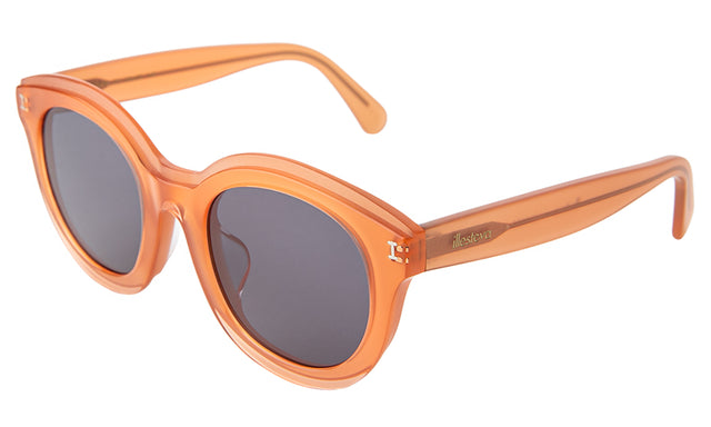 Echo Park Sunglasses Side Profile in Sienna Grey Flat
