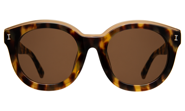 Echo Park Sunglasses in Tortoise Brown Flat