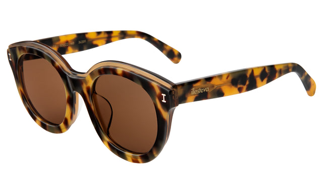Echo Park Sunglasses Side Profile in Tortoise Brown Flat