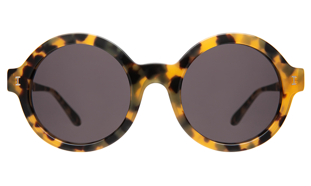 Frieda Sunglasses front view in Tortoise with Grey