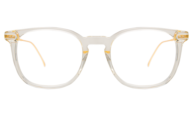 Hampton 53 Optical front view in Champagne/Gold Optical