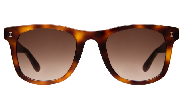 James Sunglasses in Havana with Brown Gradient
