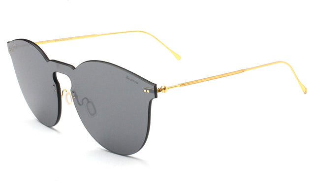 Leonard II Mask Sunglasses Side Profile in Grey / Grey