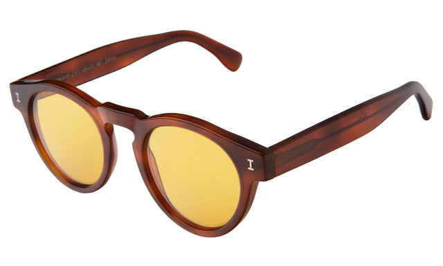 Leonard Sunglasses Side Profile in Red Havana / Honey See Through