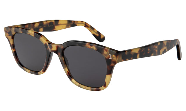Melrose Sunglasses Side Profile in Tortoise w Grey Flat