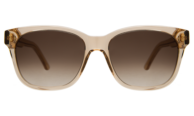  Mott Sunglasses front view in Citrine Brown Flat Gradient