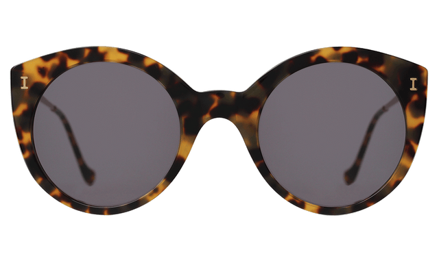  Palm Beach Sunglasses side view in Tortoise Grey