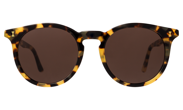  Sterling Sunglasses in Tortoise with Brown Flat