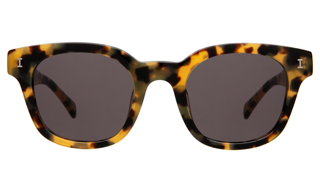 Vail Sunglasses front view in Tortoise with Grey Flat