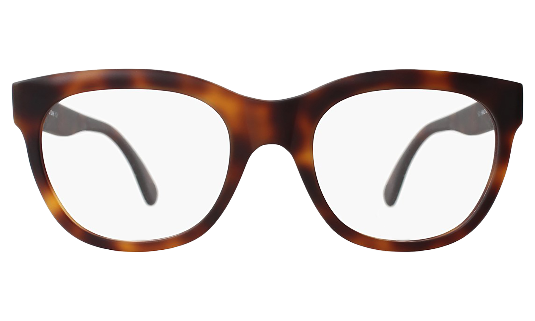 Belluno Optical illesteva